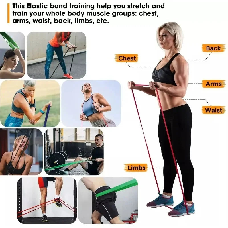 Individual Resistance Band - From 2 to 55 kg (5 to 120 lbs), Choose Your Perfect Fit